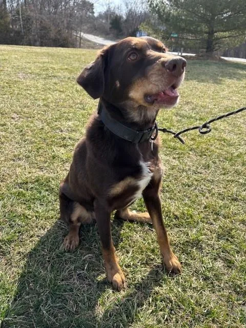 Lincoln James thumbnail 4