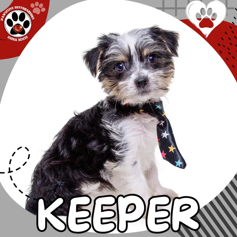 Keeper thumbnail 2