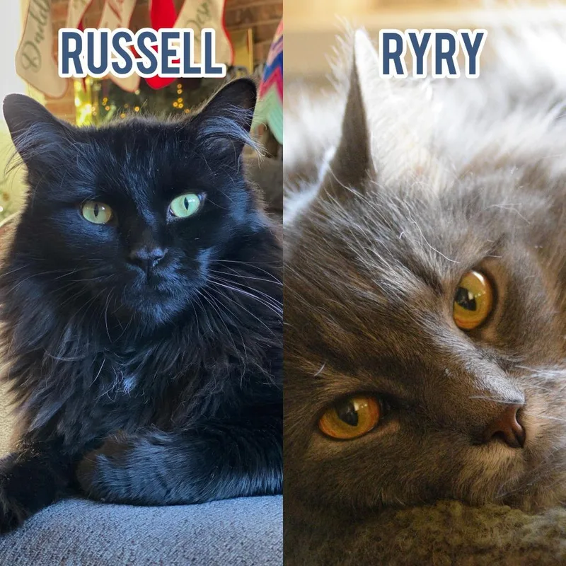 RyRy with Russell thumbnail 4