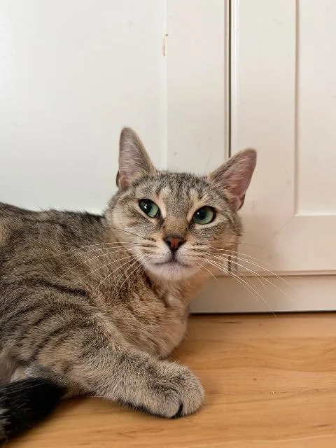 Leeloo thumbnail 2
