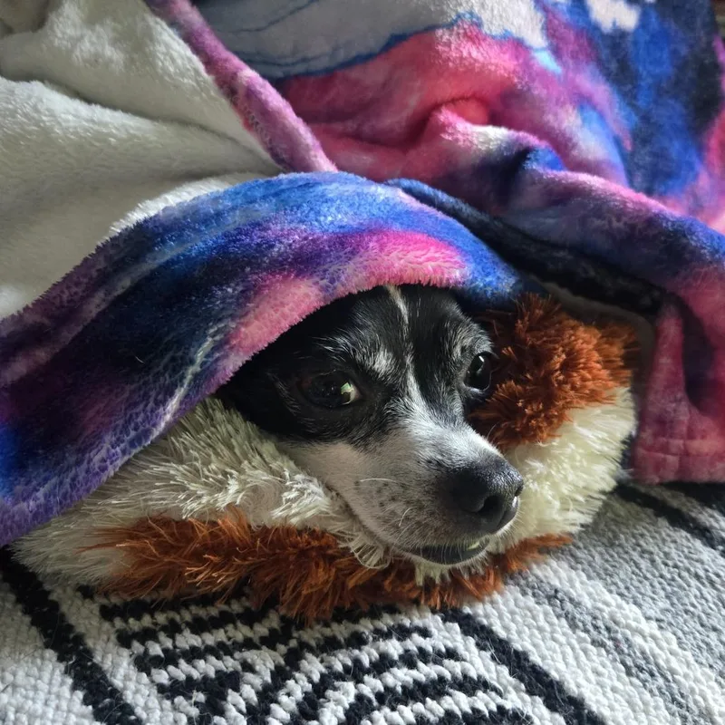 Leona thumbnail 2