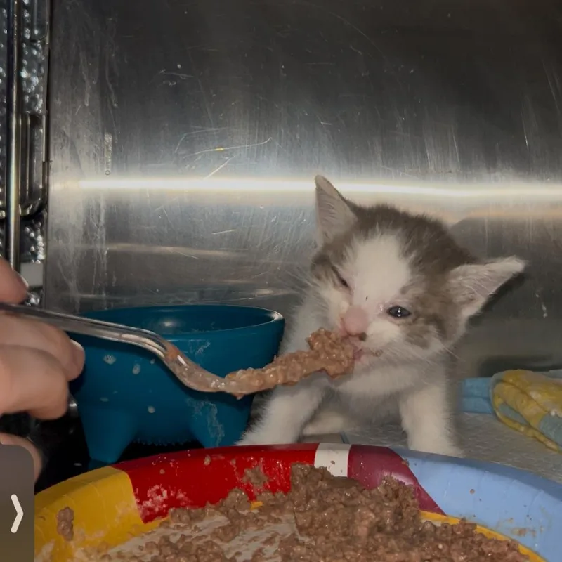 Cymbalta thumbnail 2