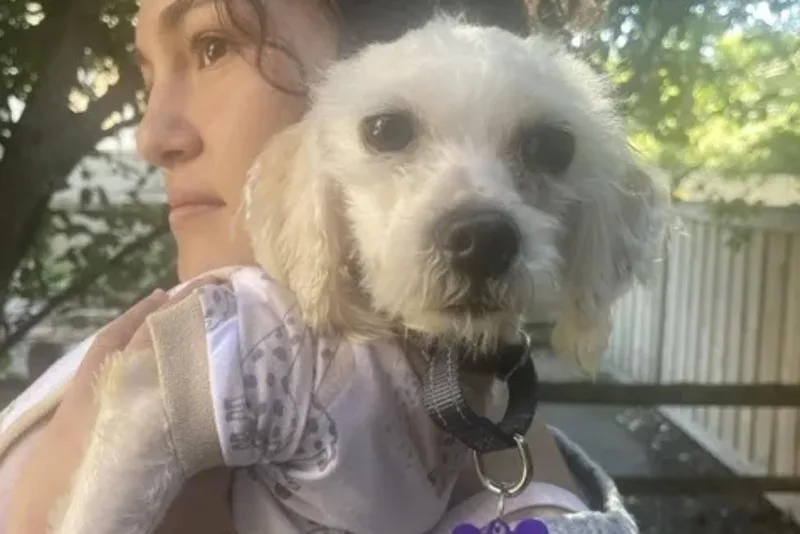 Rufus thumbnail 3
