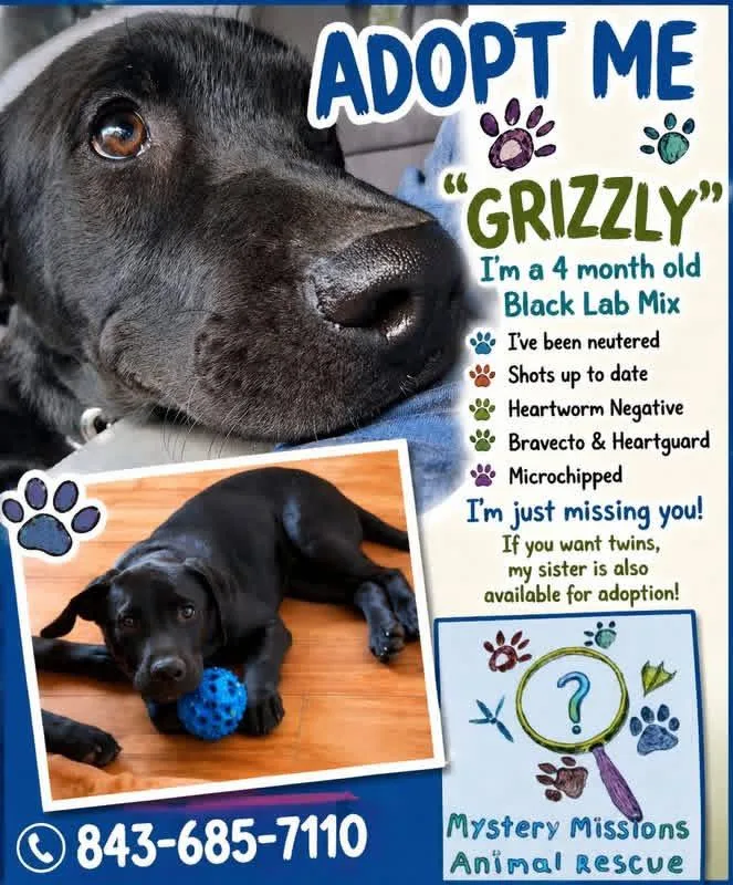 Grizzley thumbnail 2