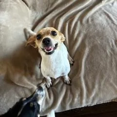 Ashby thumbnail 2