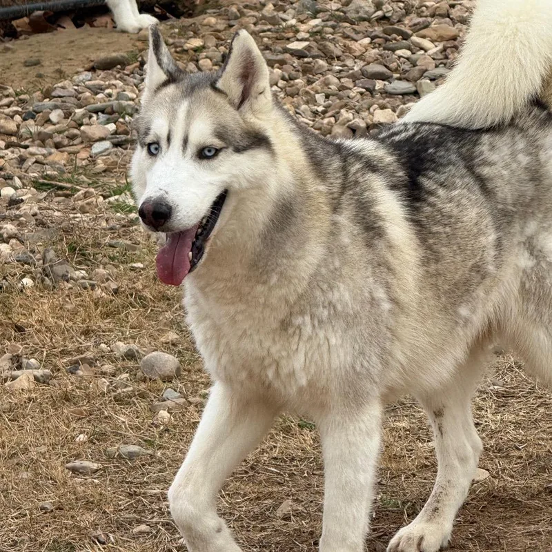 Kristoff thumbnail 5