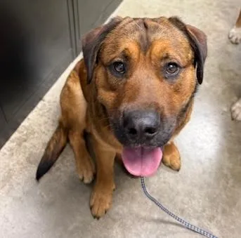 Roscoe