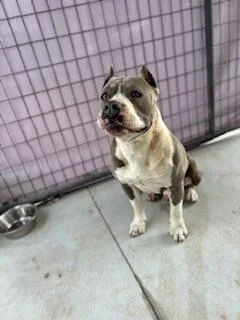 Mercedes thumbnail 5