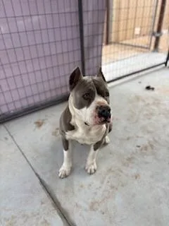 Mercedes thumbnail 6