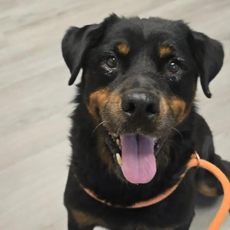 Ernie