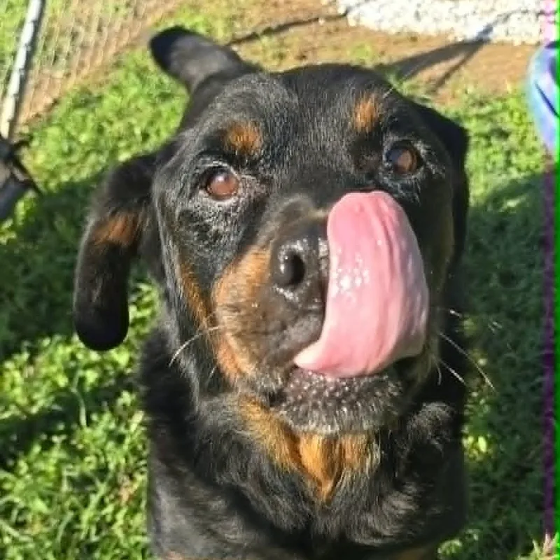 Ernie thumbnail 2