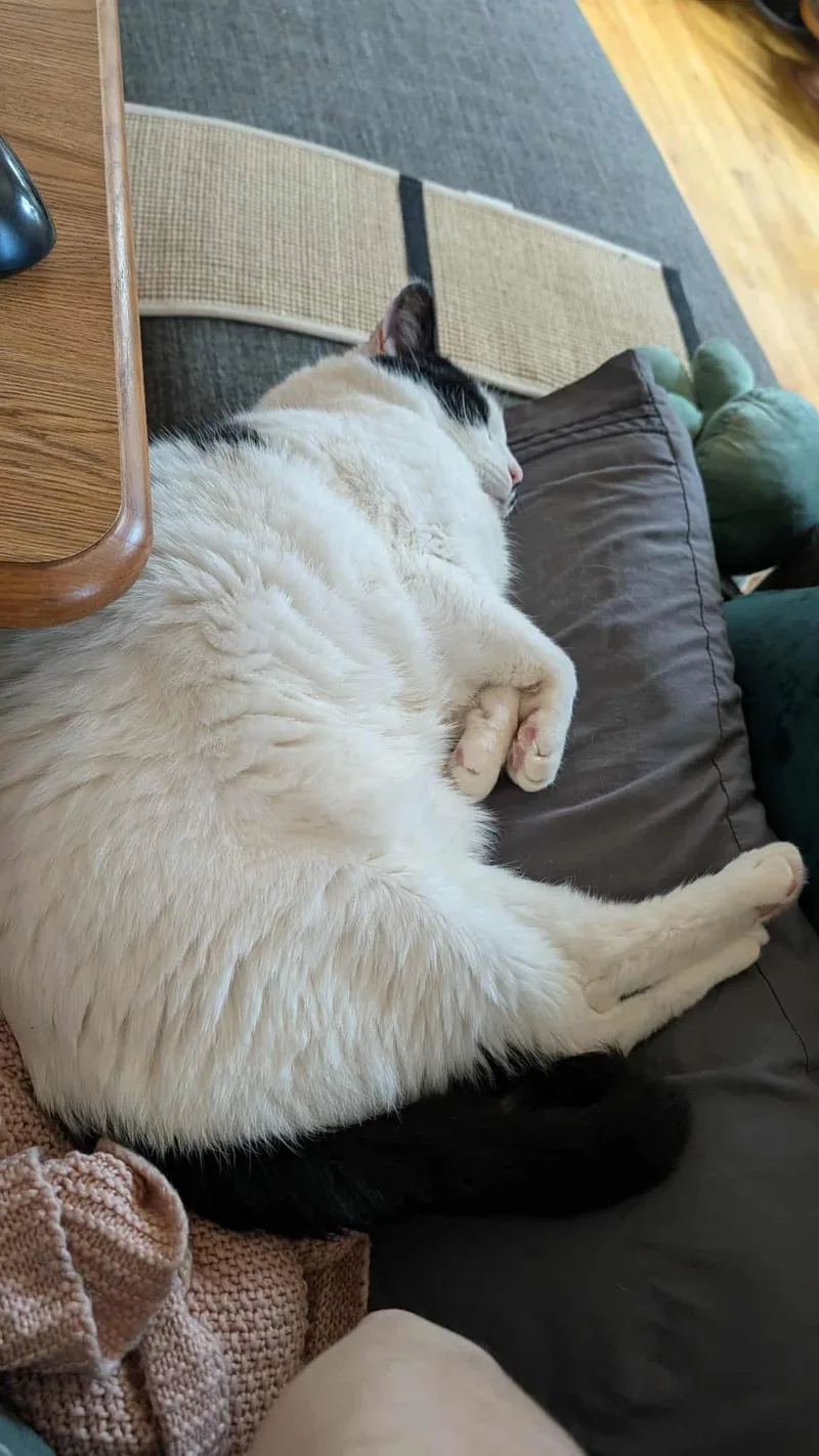 Mcflurry thumbnail 6