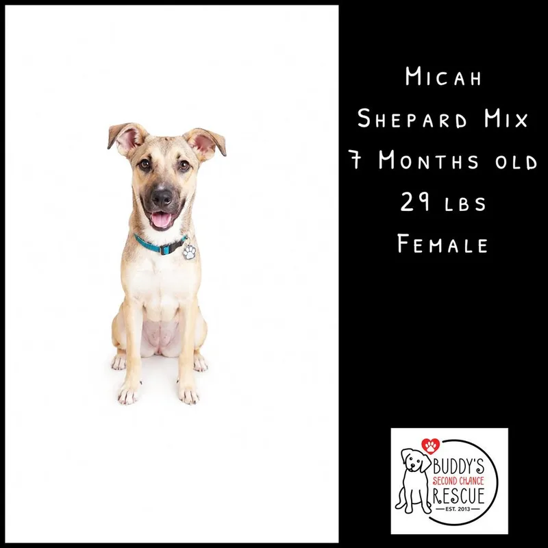 Micah thumbnail 2