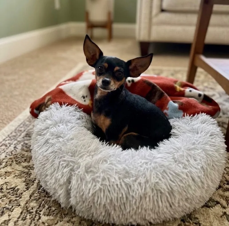 Coco thumbnail 2