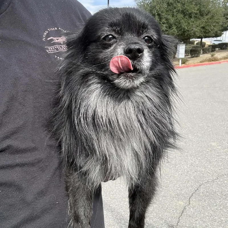 Professor Crumbscity Of Industry thumbnail 2