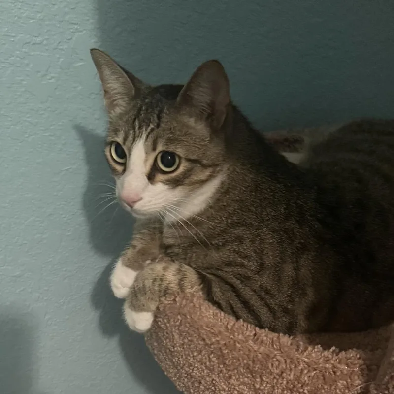 Larry & Paula thumbnail 2