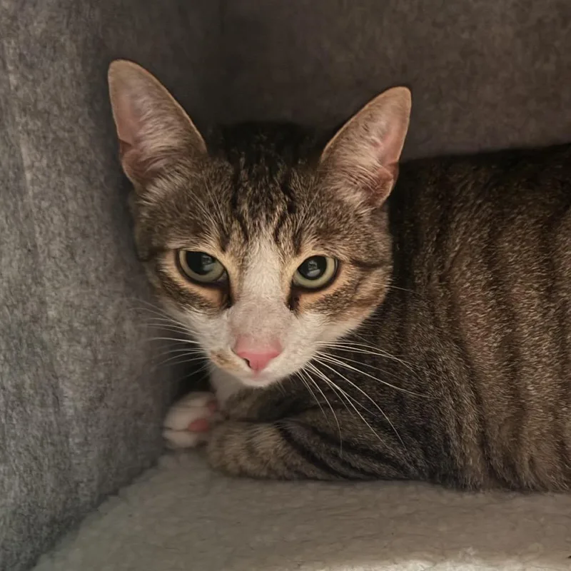 Larry & Paula thumbnail 6