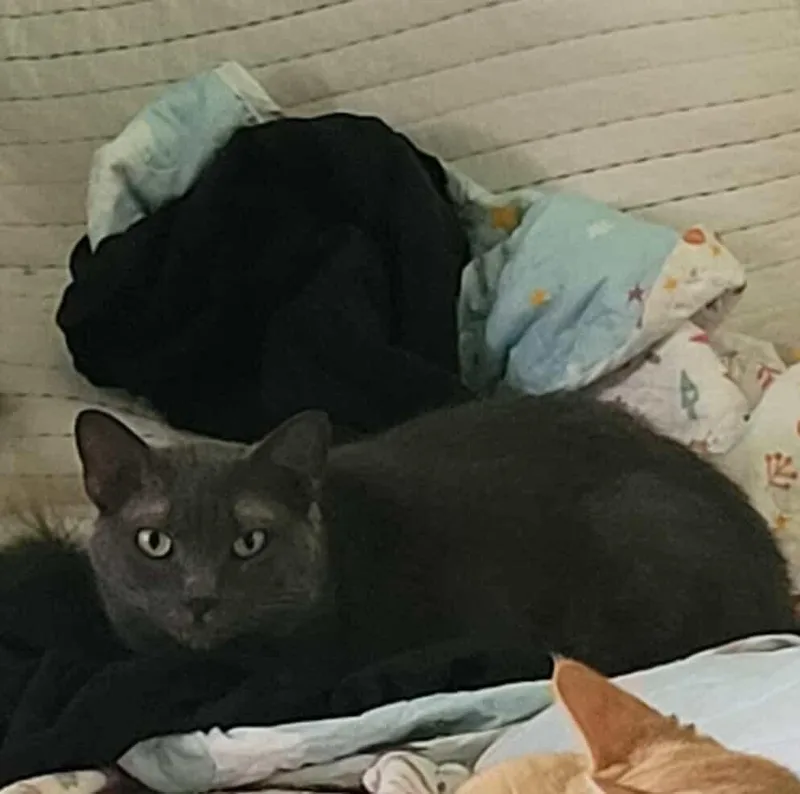 Winifred thumbnail 2