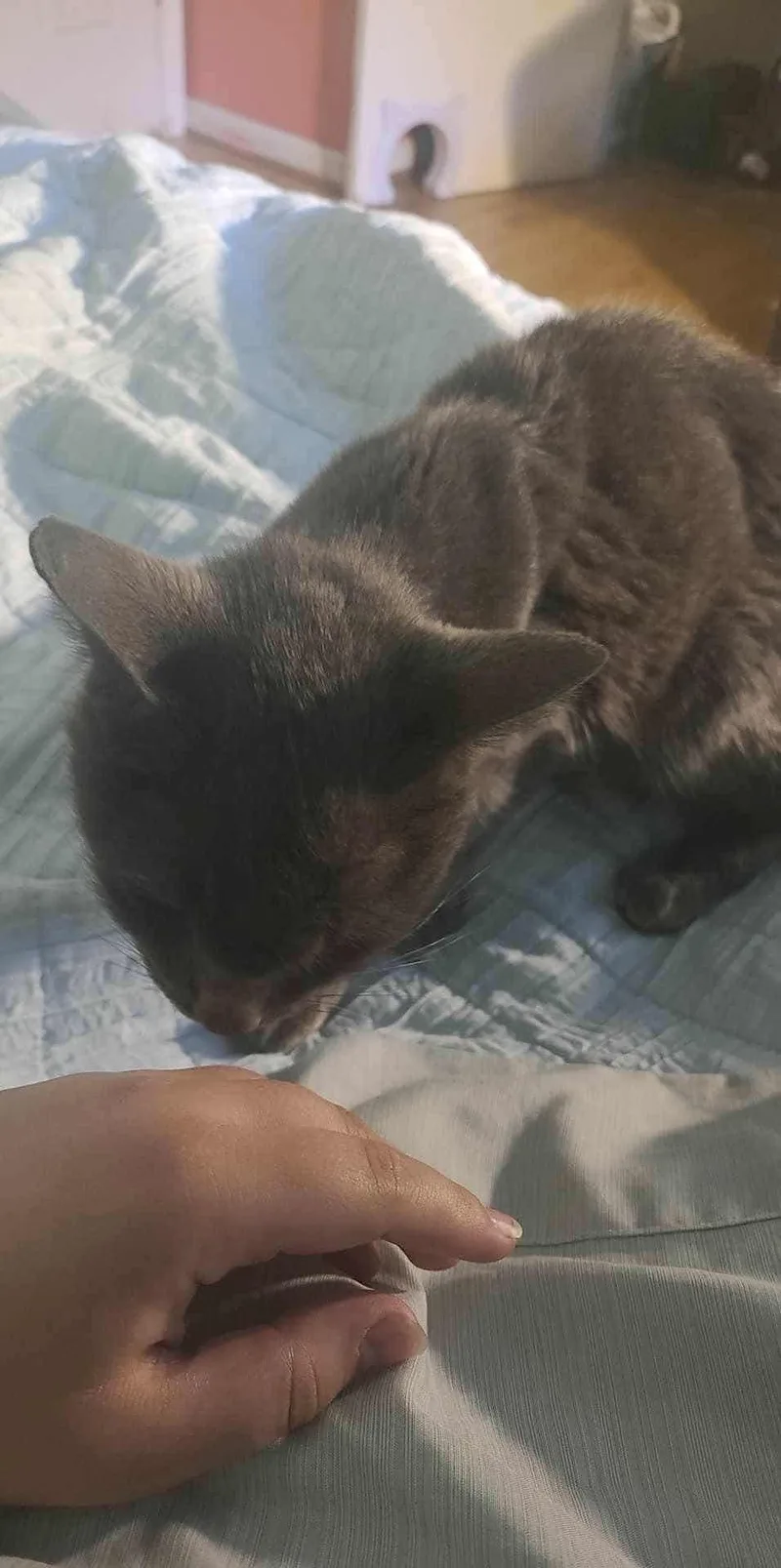 Winifred thumbnail 5