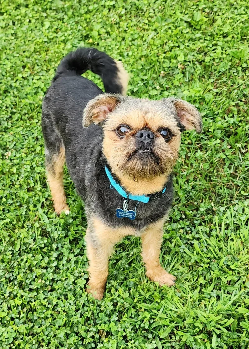 Bruno