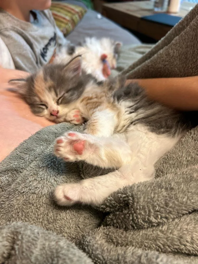 Khloè