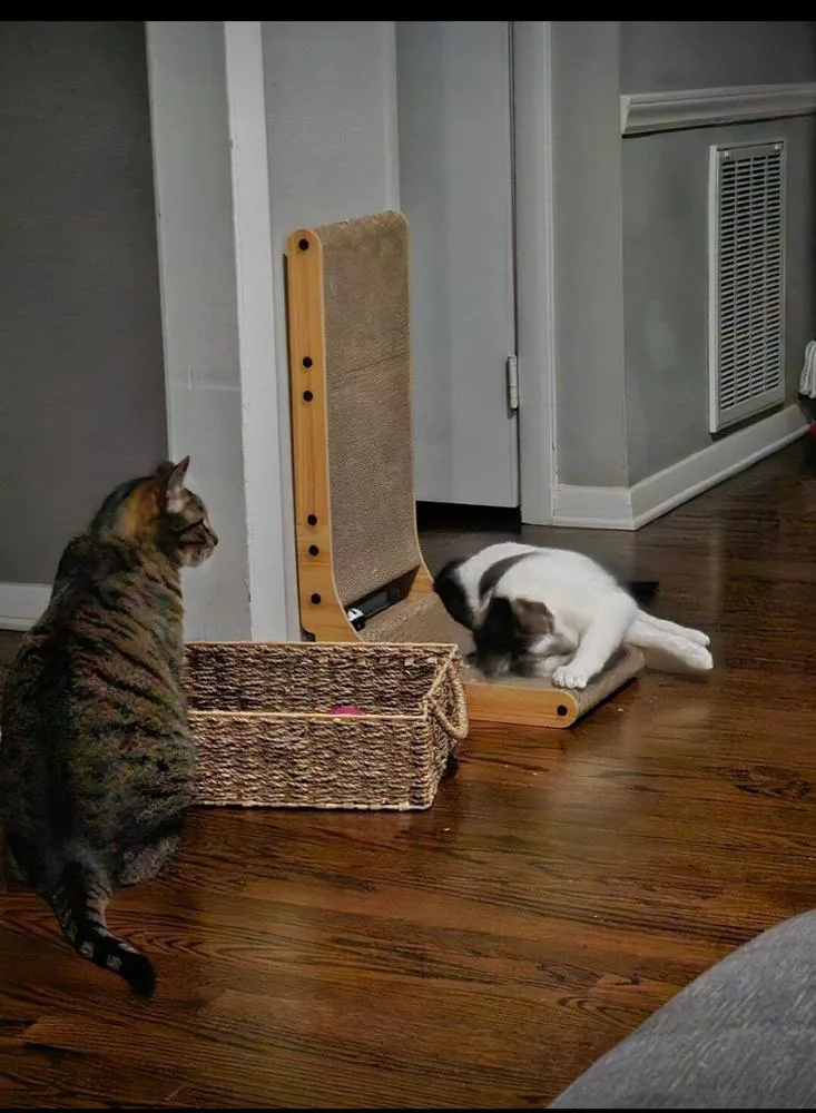 Milo And Murphy thumbnail 2