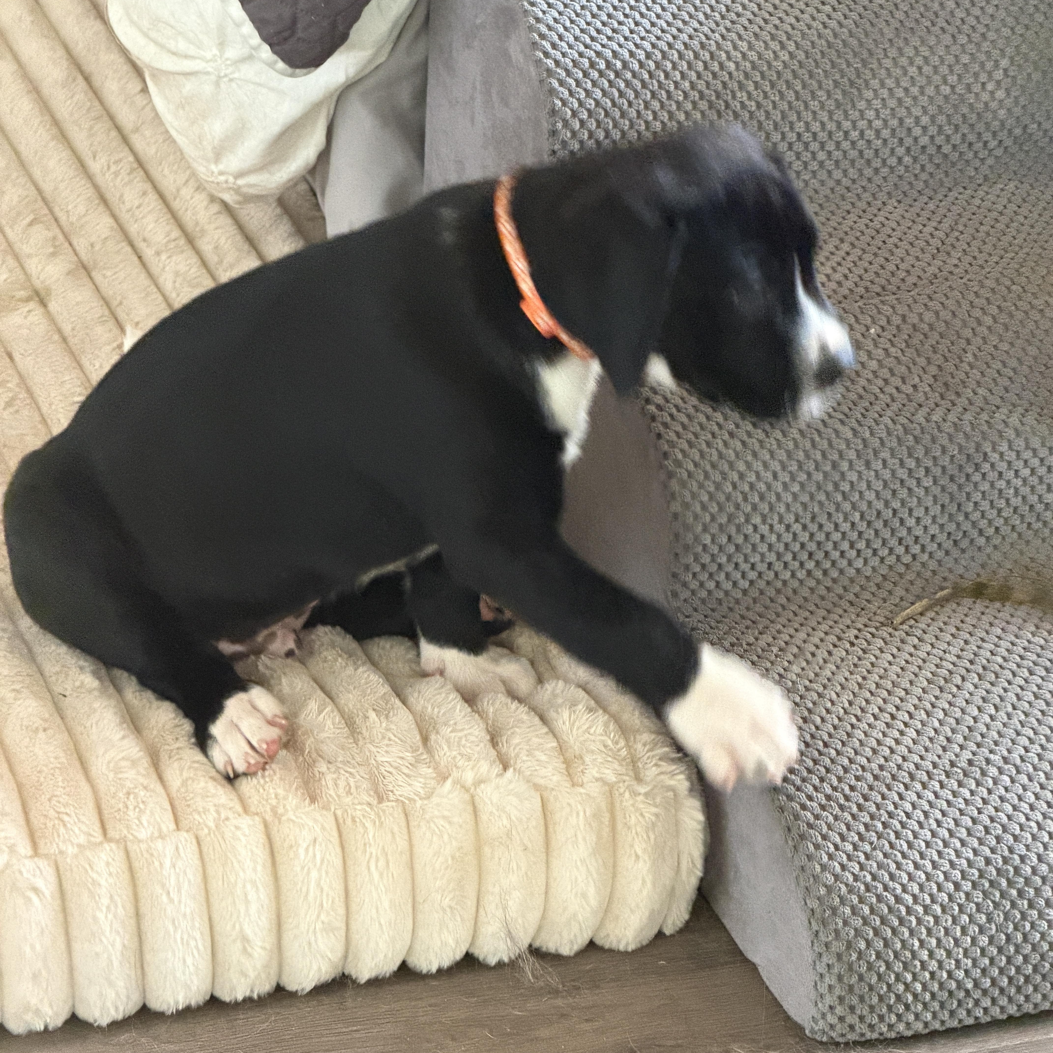Wrigley thumbnail 4