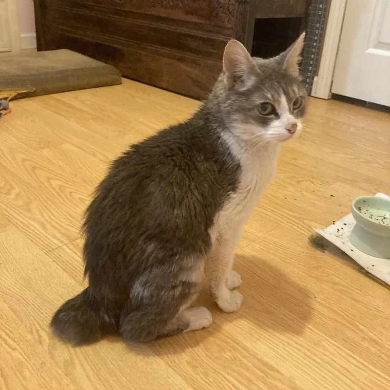 Opal Maye thumbnail 2