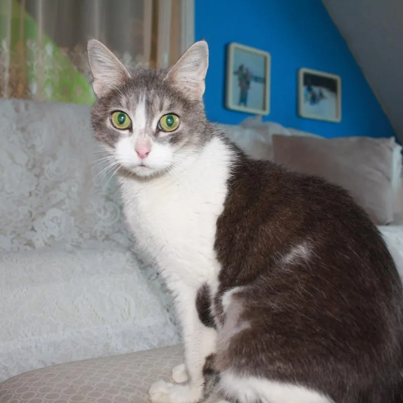 Opal Maye thumbnail 4