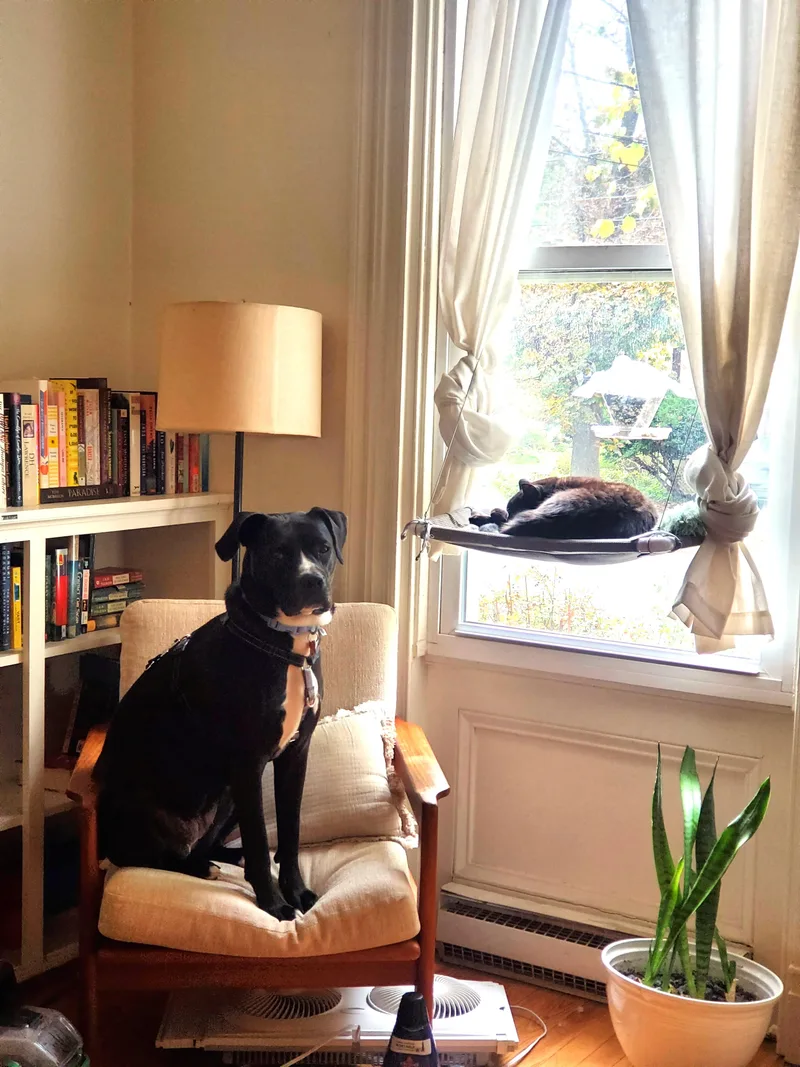 Quiche Lorraine thumbnail 6