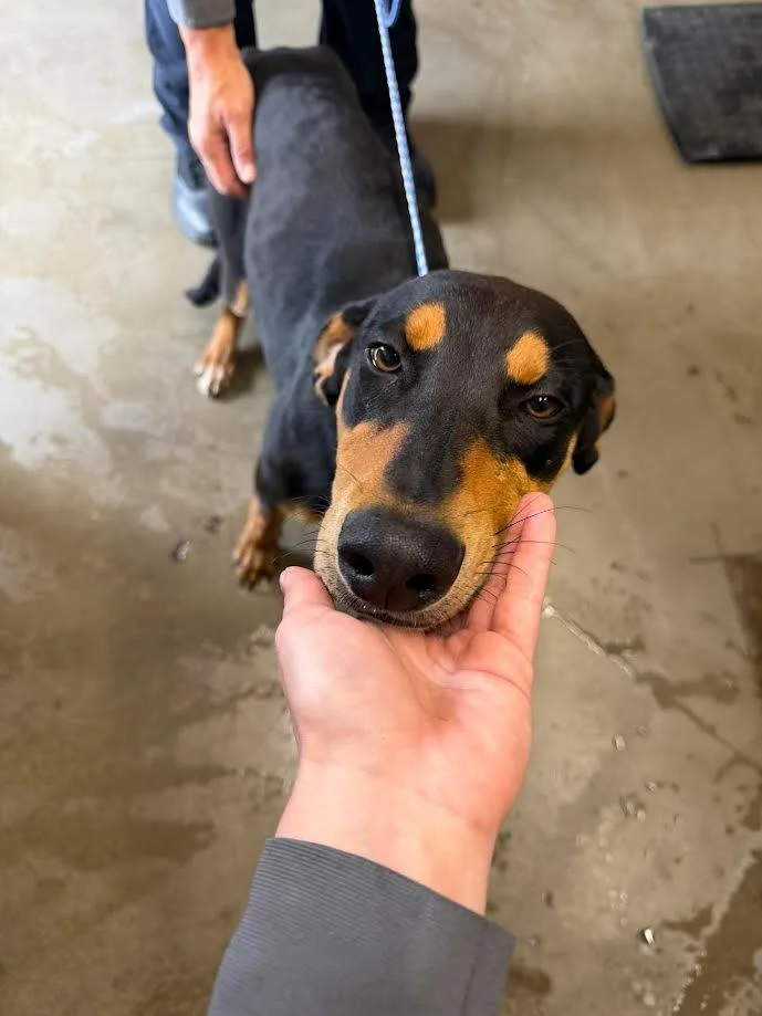 Fiona