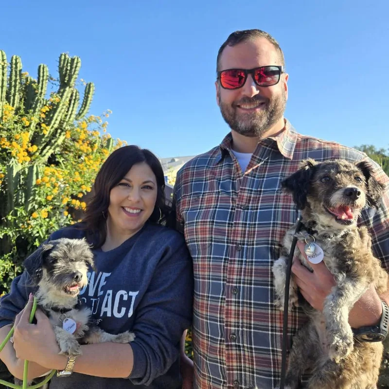 A senior small-sized female Gray / Blue / Silver Poodle dog named Maybelle for adoption in Ramona, CA