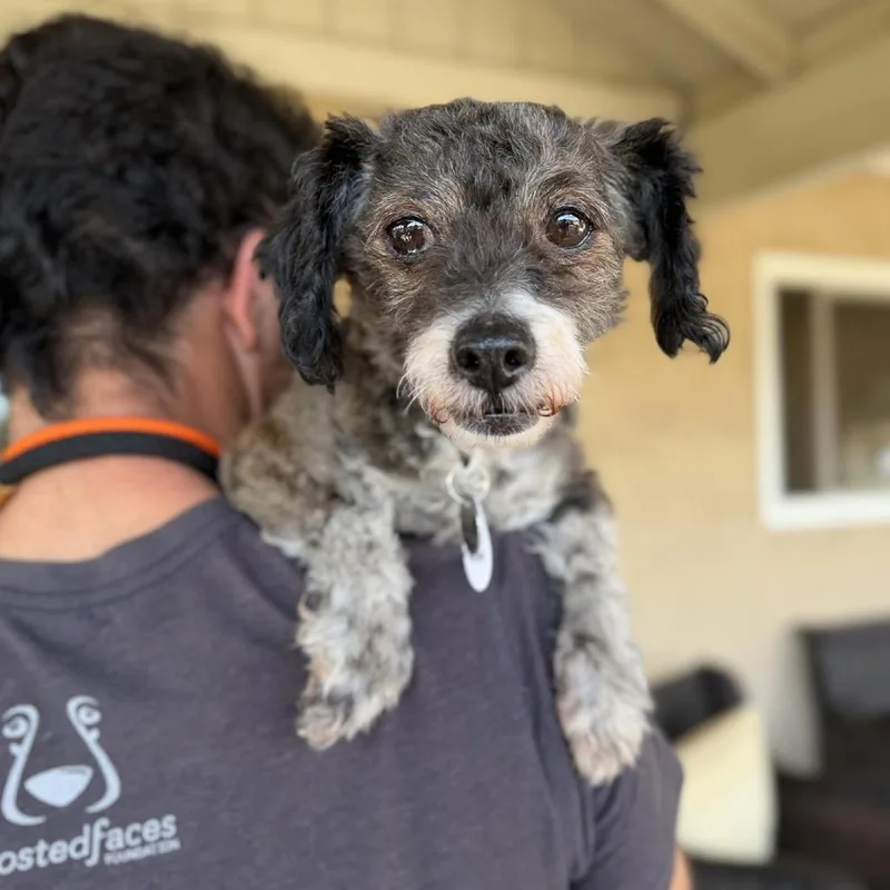 Maybelle thumbnail 2