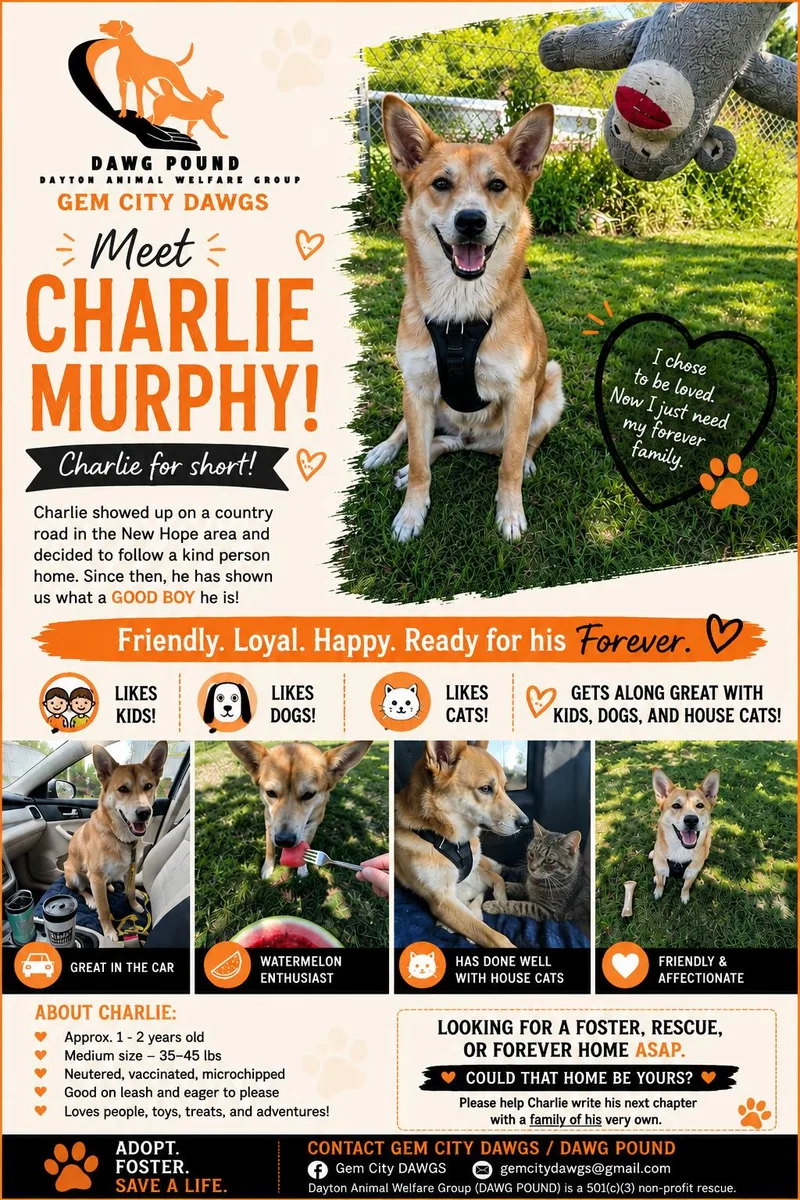 Charlie Murphy thumbnail 4