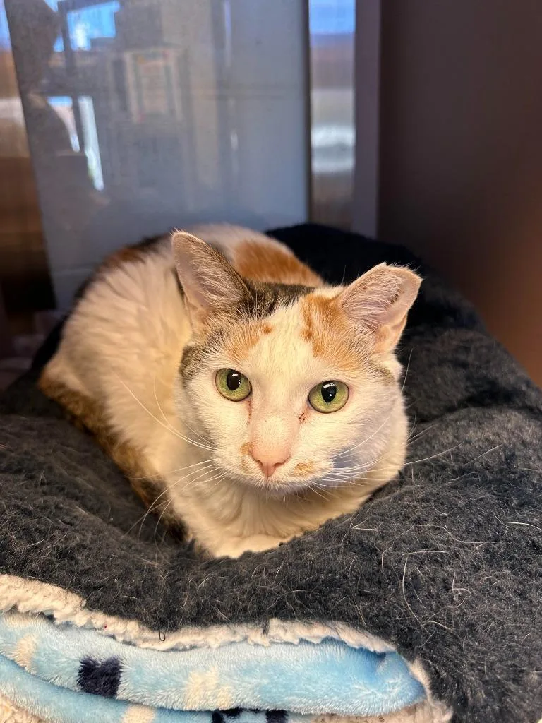 Georgina thumbnail 2