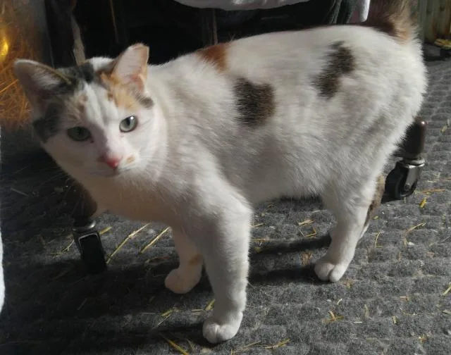 Georgina thumbnail 3