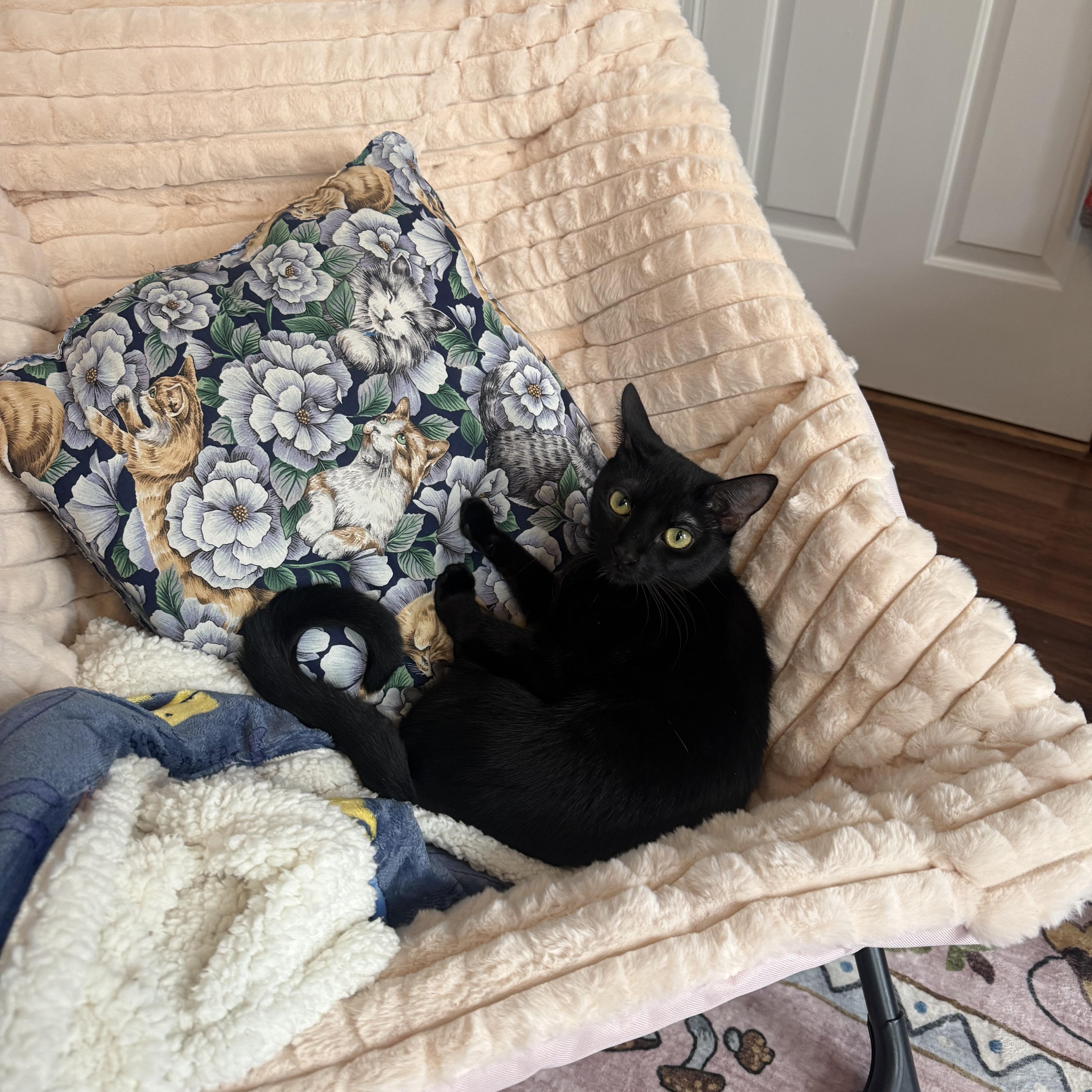 Gonza Bon Bon thumbnail 2