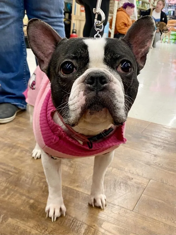 Marlowe Jean thumbnail 2