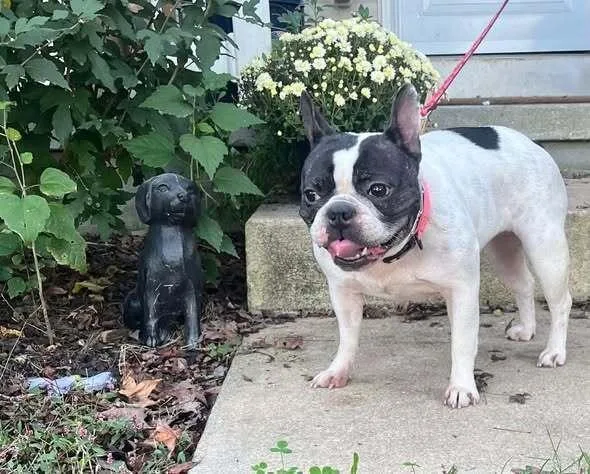 Marlowe Jean thumbnail 4