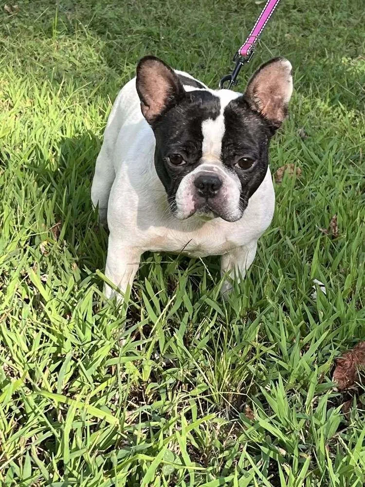 Marlowe Jean thumbnail 6