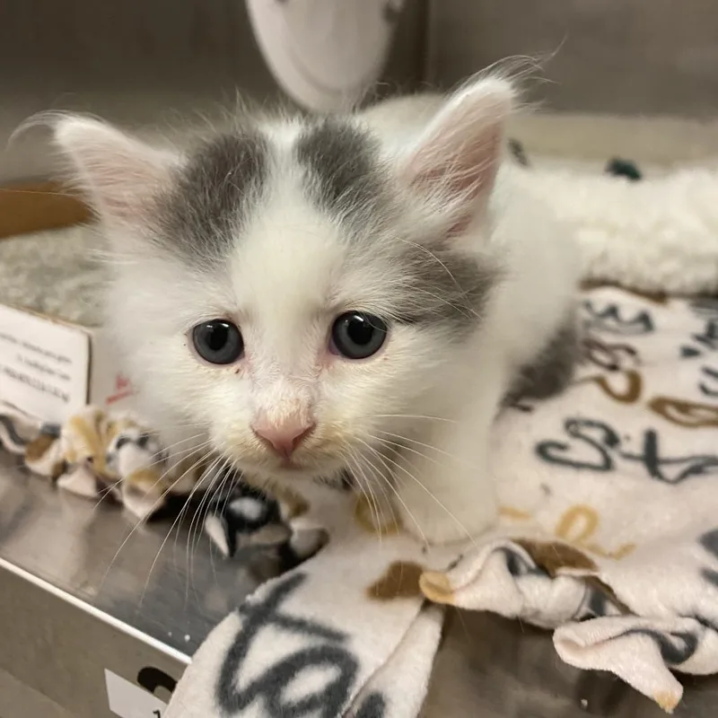 Her Majesty thumbnail 3