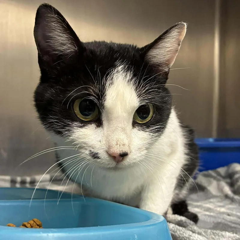 Marilyn Monroe thumbnail 2