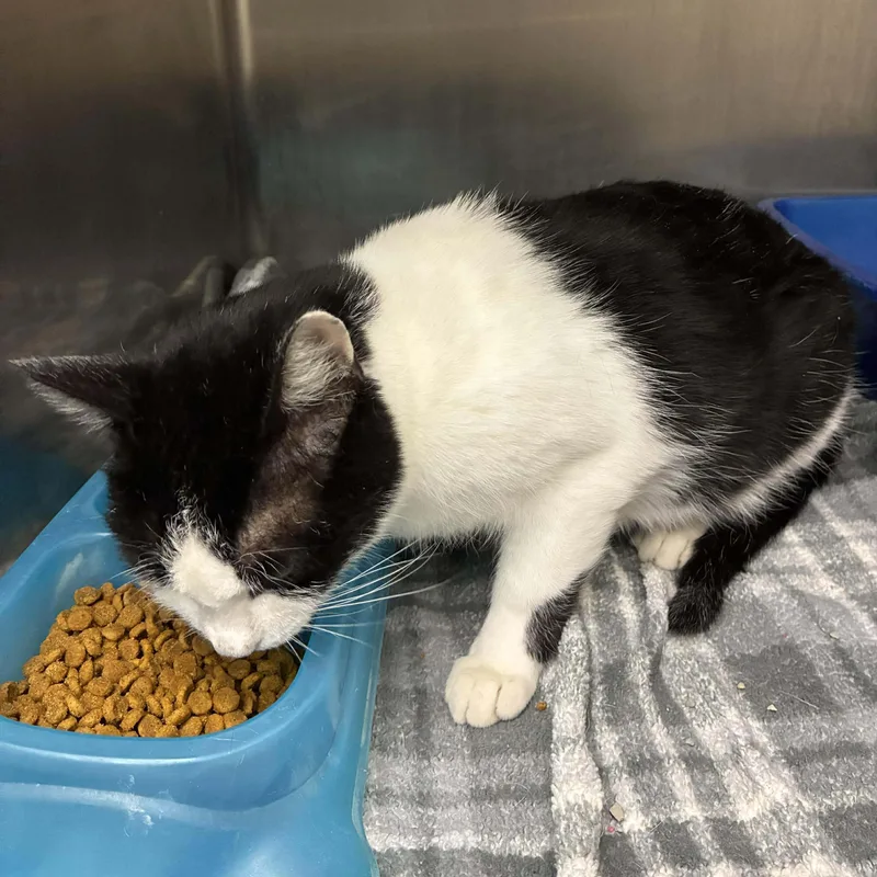 Marilyn Monroe thumbnail 5