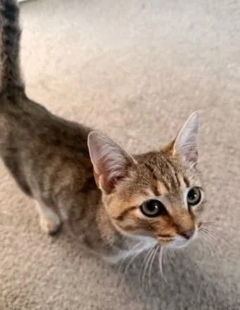 Leonardo thumbnail 2