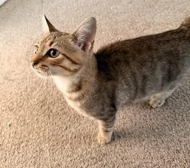 Leonardo thumbnail 3