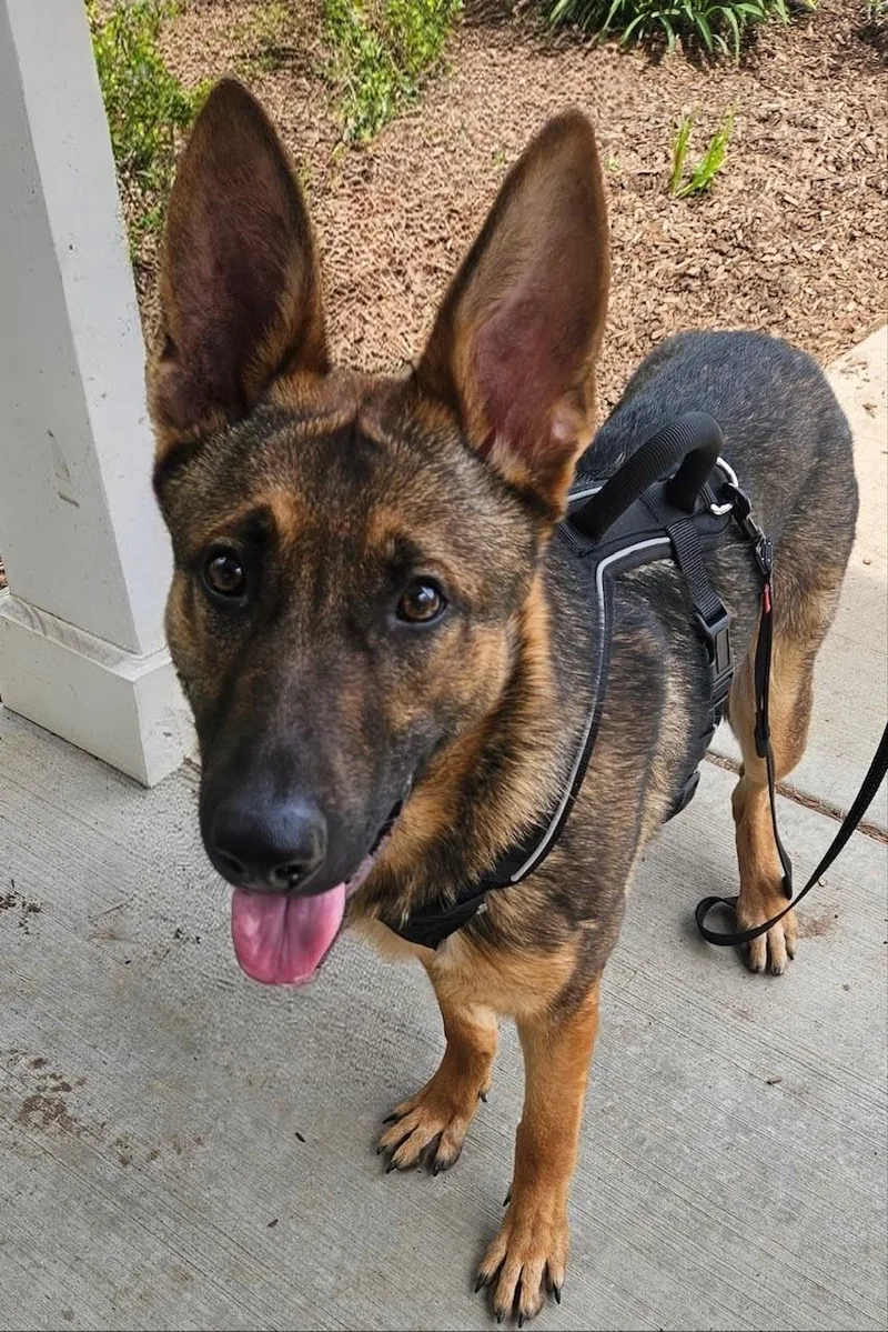 Roscoe