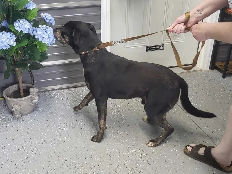 Harrison thumbnail 2