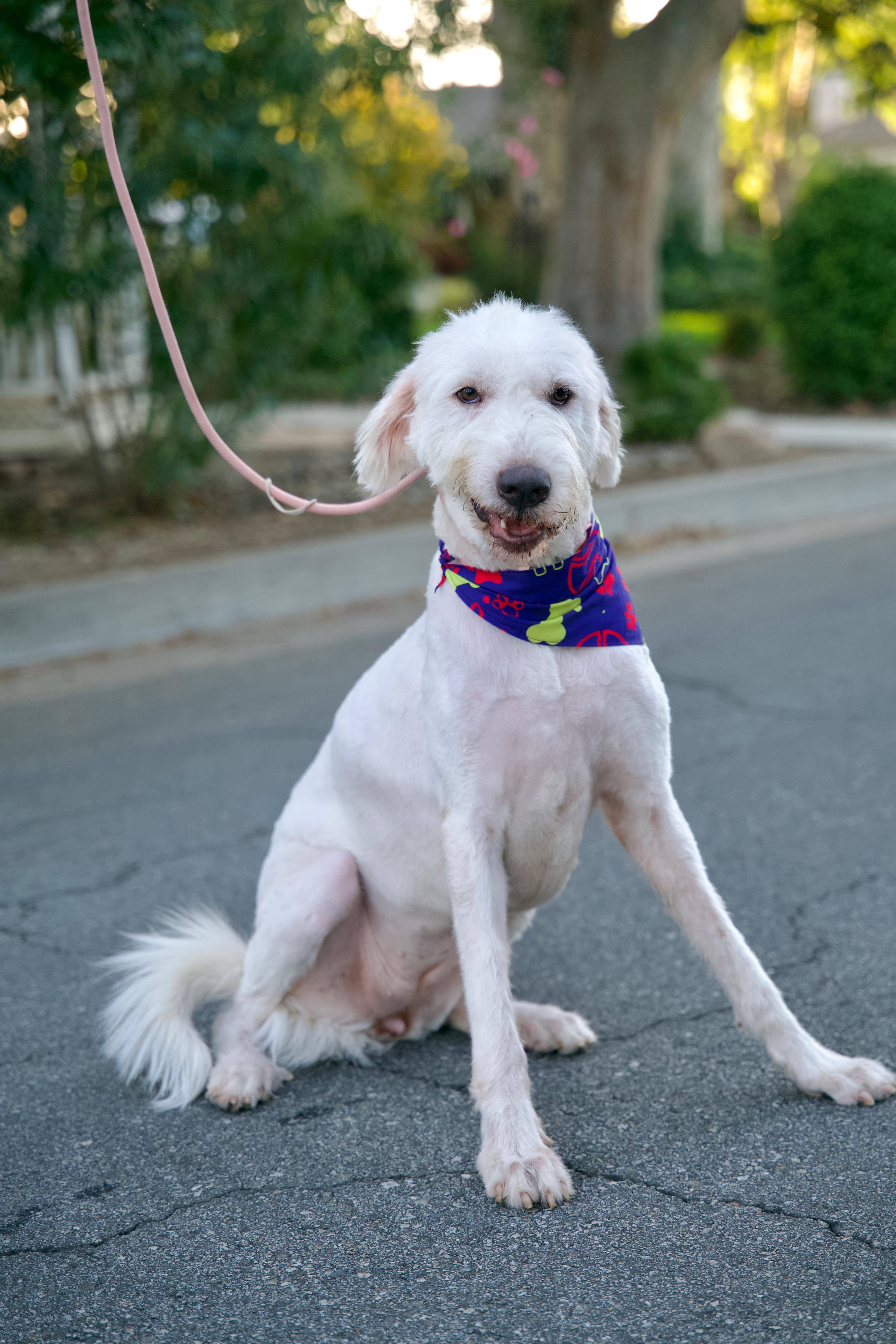 Delilah thumbnail 10