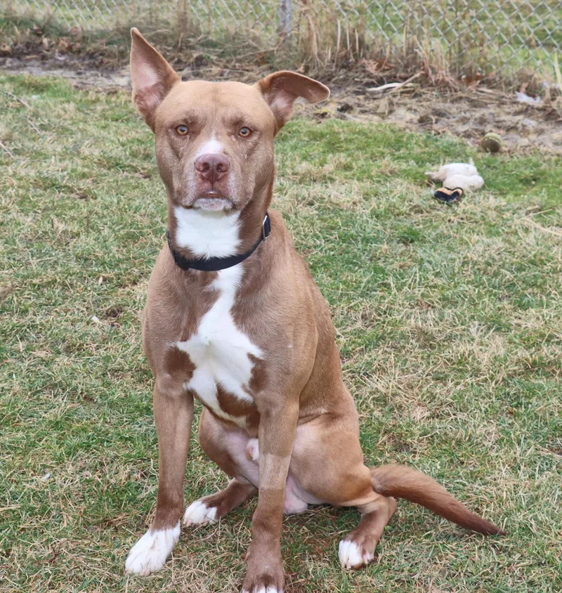 Glenn Powell thumbnail 6