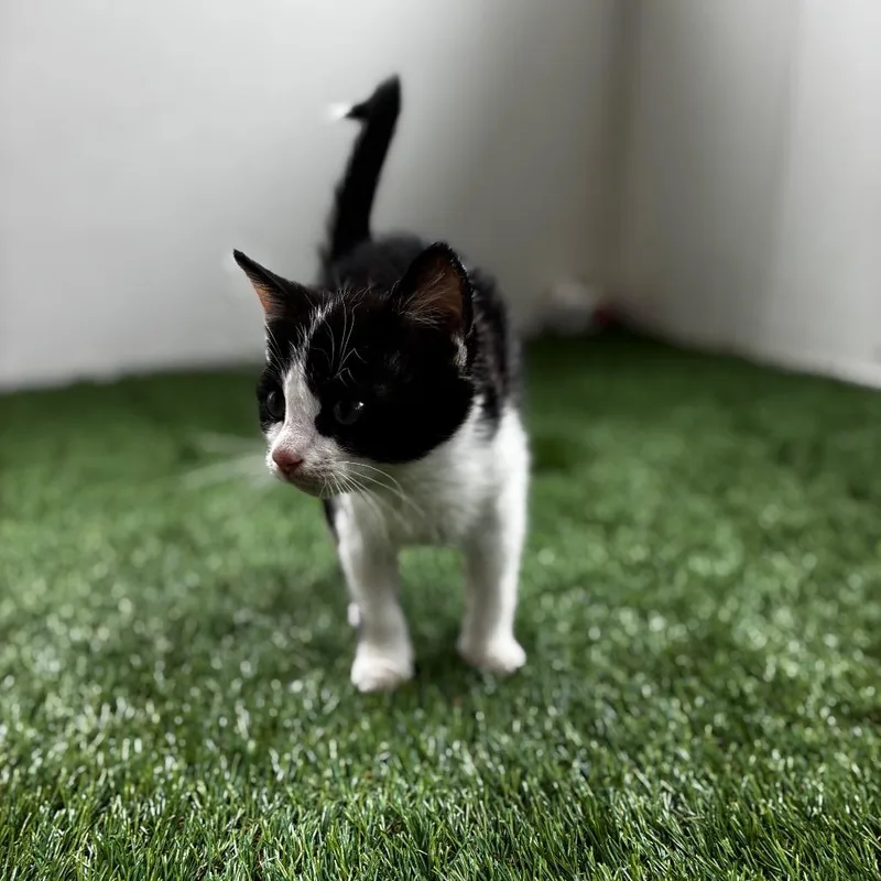 Samantha thumbnail 2